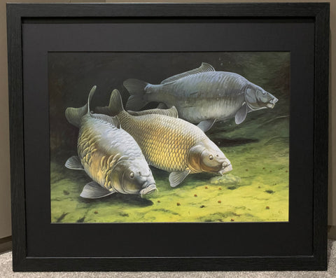 Three Cautious Carp Framed