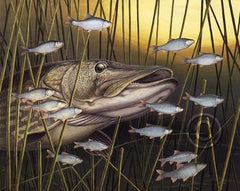 Pike and Predators