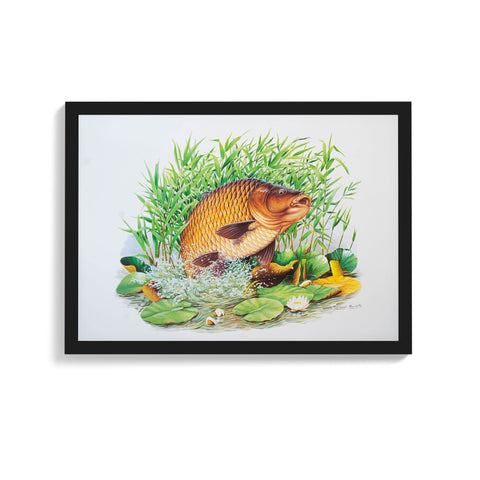A3 framed Crashing Common