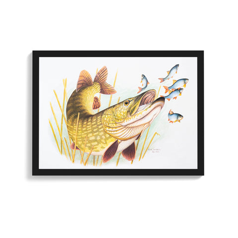 A3 Framed Pike Strike