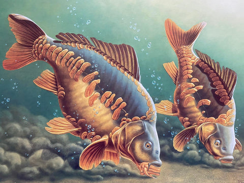 Heads Down Fins Up