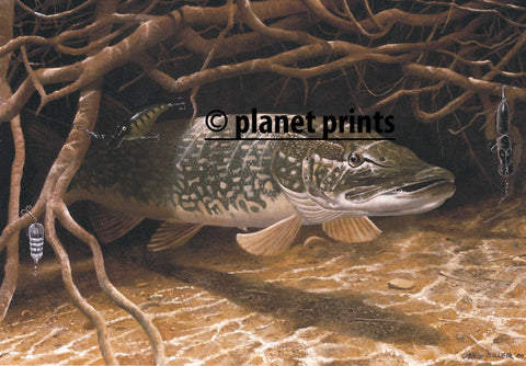 Pike In The Roots by David Miller, Fishing Art